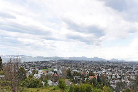 Photo of property in 40 Napier Terrace, Hospital Hill, Napier, 4110