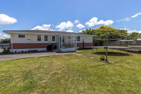 Photo of property in 10 Hobson Street, Levin, 5510