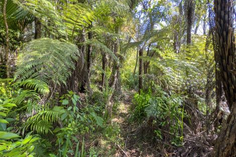 Photo of property in 432c Tapu Coroglen Road, Tapu, Thames, 3575