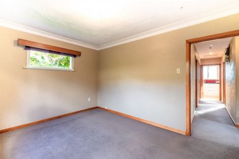 Photo of property in 16 Every Street, Andersons Bay, Dunedin, 9013