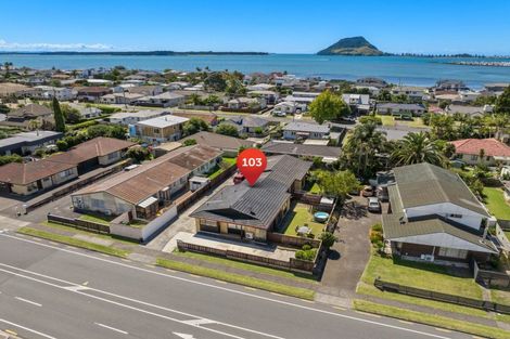 Photo of property in 103 Chapel Street, Otumoetai, Tauranga, 3110