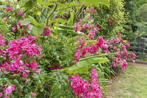 Photo of property in 108 Huatoki Street, Frankleigh Park, New Plymouth, 4310