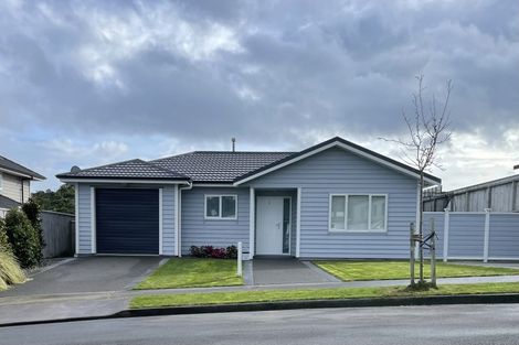 Photo of property in 10 Belize Grove, Grenada Village, Wellington, 6037