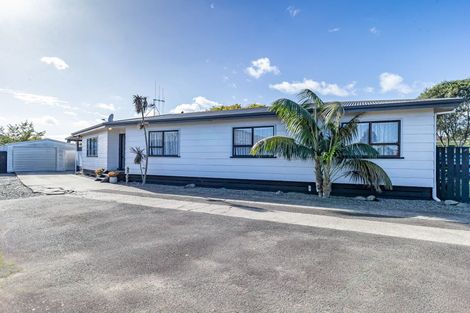 Photo of property in 9 Martin Harvey Street, Levin, 5510