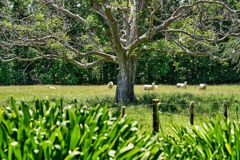 Photo of property in 8 Maungahina Road, Te Ore Ore, Masterton, 5886