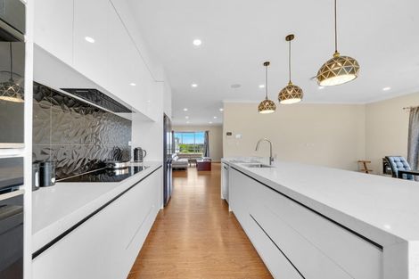 Photo of property in 130 Irwin Road, Kingseat, Pukekohe, 2679