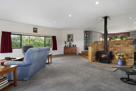 Photo of property in 131 Starkey Road, Morrinsville, 3371