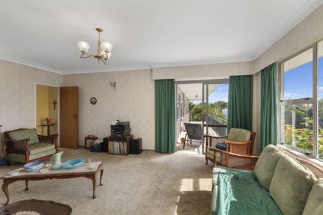 Photo of property in 205 Tiro Tiro Road, Levin, 5510