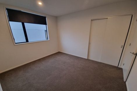 Photo of property in 3/125 Tristram Street, Hamilton Central, Hamilton, 3204