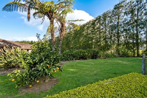Photo of property in 237b Busby Road, Tahawai, Katikati, 3170