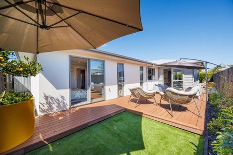 Photo of property in 55b Ferguson Street, Awapuni, Palmerston North, 4412