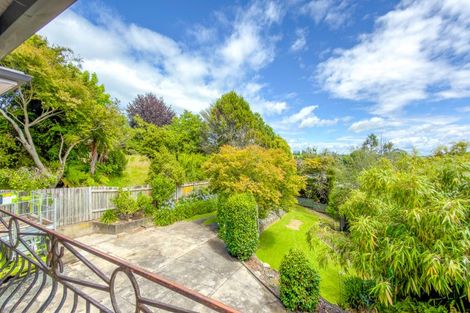 Photo of property in 155 Tirau Street, Putaruru, 3411