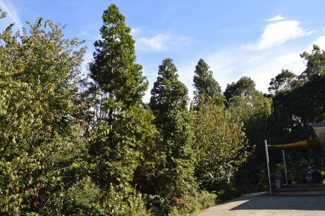 Photo of property in 225a Driving Creek Road, Coromandel, 3506