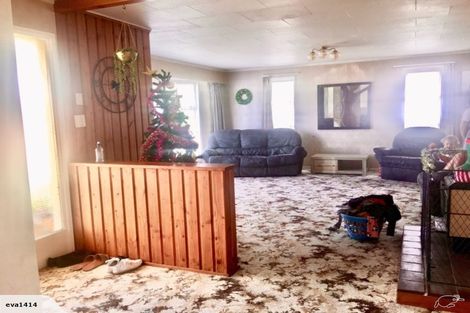 Photo of property in 53 Featherston Street, Levin, 5510