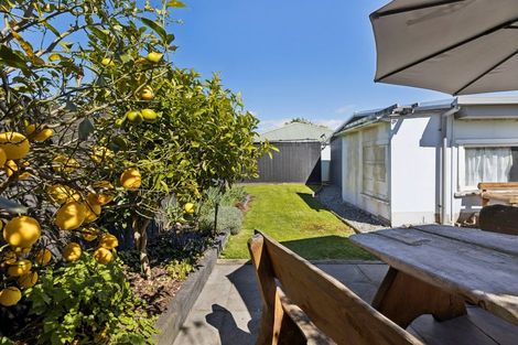 Photo of property in 8a Lane Street, Islington, Blenheim, 7201
