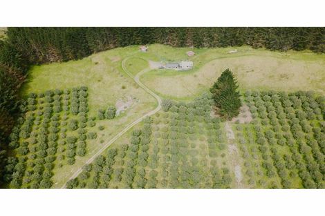 Photo of property in 4560 Pouto Road, Pouto, Te Kopuru, 0391