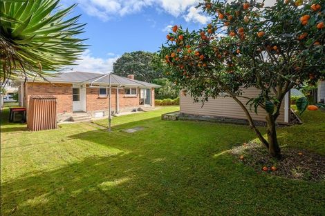 Photo of property in 41 Oceanbeach Road, Mount Maunganui, 3116