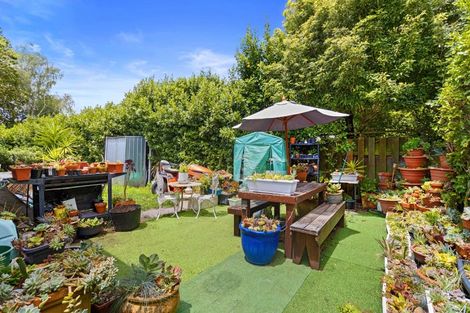 Photo of property in 1/46 Peachgrove Road, Hamilton East, Hamilton, 3216