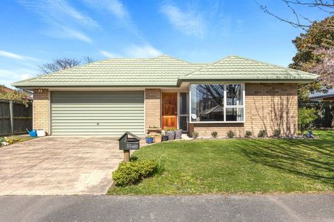 Photo of property in 45 Showgate Avenue, Sockburn, Christchurch, 8042