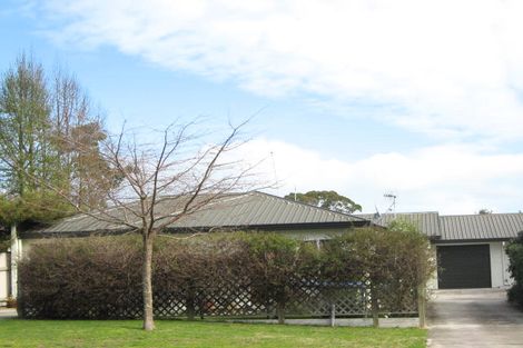 Photo of property in 4b Breadalbane Road, Havelock North, 4130