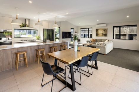 Photo of property in 17 Riverpoint Glade, Flagstaff, Hamilton, 3210