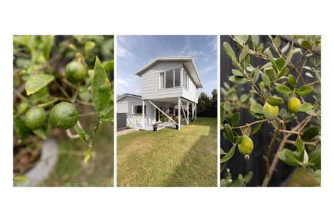 Photo of property in 113b Ranch Road, Mount Maunganui, 3116