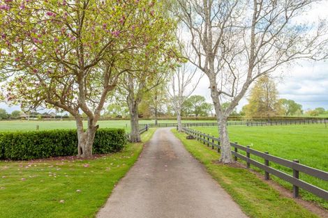 Photo of property in 17 Haumia Road, Mangateparu, Morrinsville, 3375