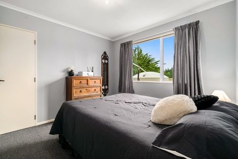 Photo of property in 123 Letts Gully Road, Alexandra, 9393