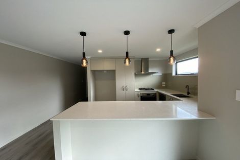 Photo of property in 52 Hammick Crescent, Pyes Pa, 3112