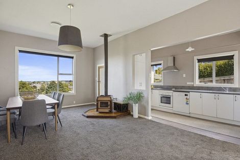 Photo of property in 17 Carnarvon Street, Belleknowes, Dunedin, 9011