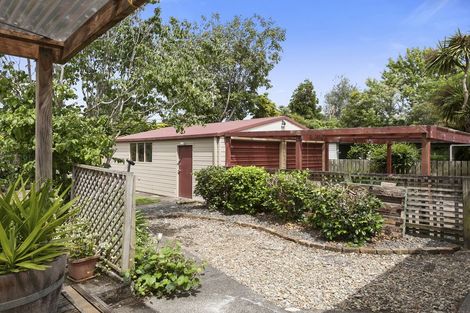 Photo of property in 20 Good Street, Matangi, Hamilton, 3284