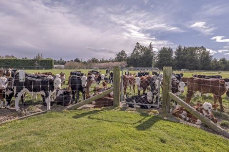 Photo of property in 201 Hollands Road, Tinwald, Ashburton, 7771