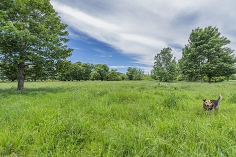 Photo of property in 430 Birch Hill Road, Okuku, Rangiora, 7473