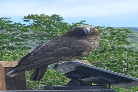 Photo of property in 16 Wentworth Street, Mornington, Wellington, 6021