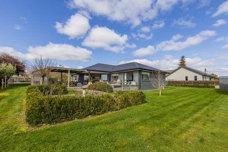 Photo of property in 14 Brooker Place, Waipukurau, 4200