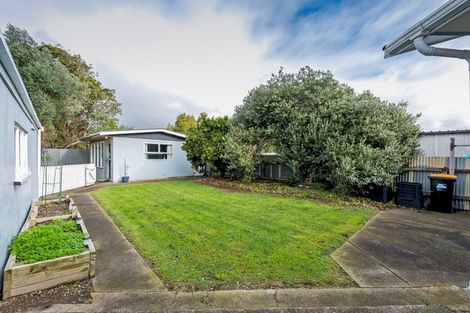 Photo of property in 132 Limbrick Street, Terrace End, Palmerston North, 4410