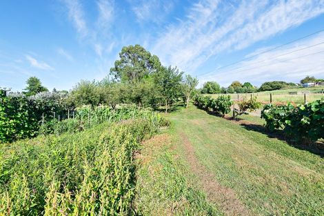 Photo of property in 48 Moxham Road, Te Awamutu, 3879