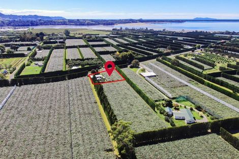 Photo of property in 186 Beach Road, Katikati, 3178