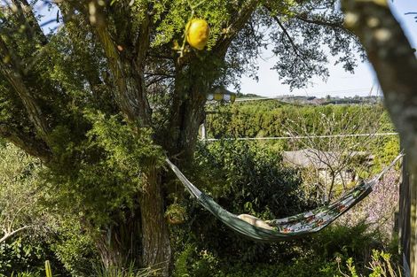 Photo of property in 45a Barrett Road, Whakamarama, Tauranga, 3180