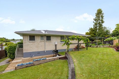 Photo of property in 10 Hazelwood Avenue, Dinsdale, Hamilton, 3204