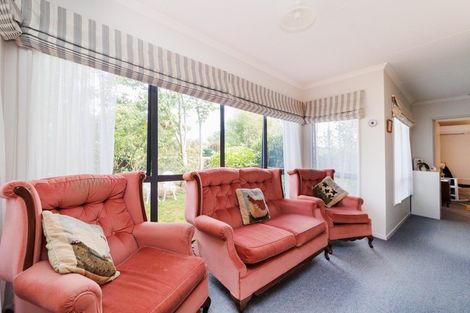 Photo of property in 101 Lincoln Street, Ashhurst, 4810