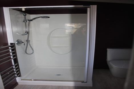 Photo of property in 44a Willoughby Street, Whitiora, Hamilton, 3200