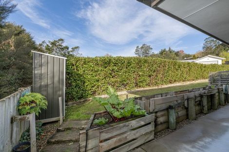 Photo of property in 47a Hartis Avenue, Huntly, 3700