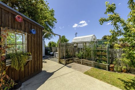 Photo of property in 51 Orange Lane, Bethlehem, Tauranga, 3110