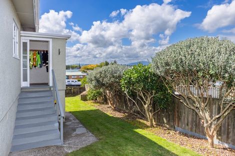 Photo of property in 51 Bockett Avenue, Te Awamutu, 3800