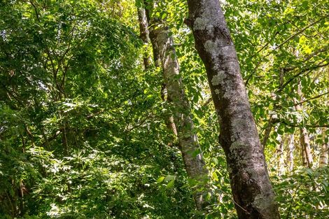 Photo of property in 15 Woodlands Way, Greytown, 5712