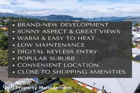 Photo of property in 58 Mailer Street, Mornington, Dunedin, 9011