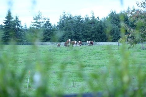 Photo of property in 5 Sarona Park Drive, Omanawa, Tauranga, 3171