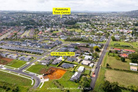 Photo of property in 101a Beatty Road, Pukekohe, 2120