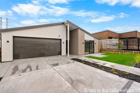 Photo of property in 27 Cogar Terrace, Chartwell, 3210